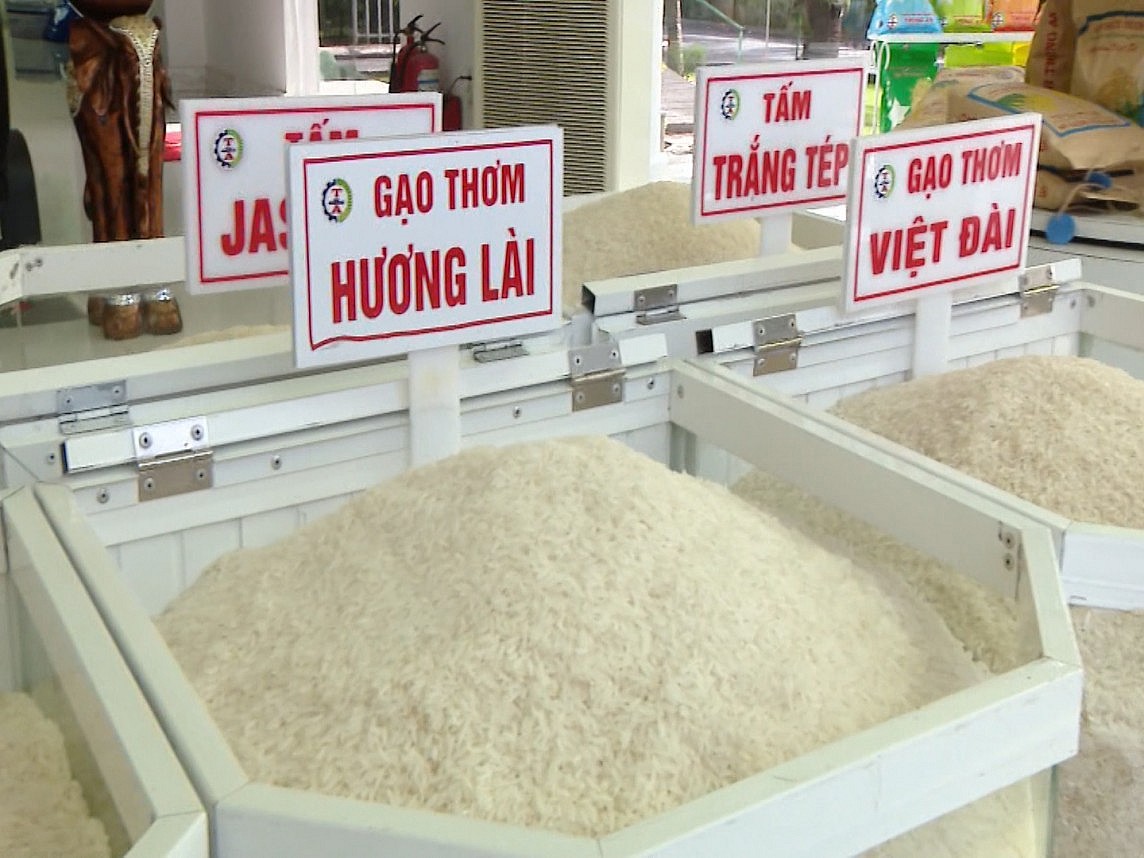 Giá xuất khẩu đảo chiều, gạo Việt vuột 