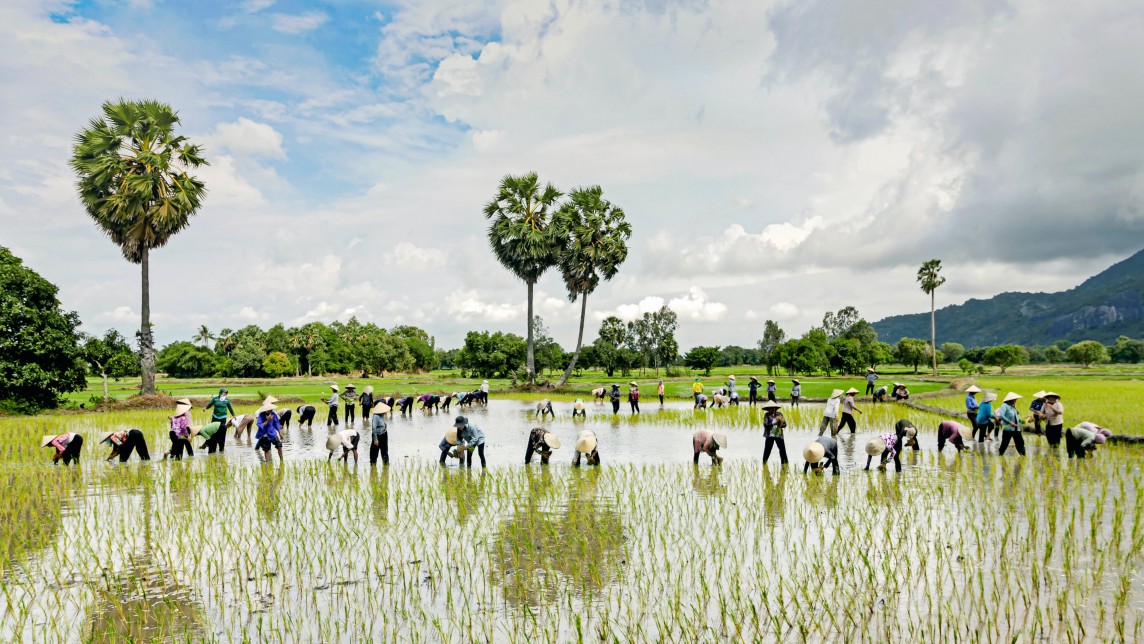 Hợp tác song phương Úc - Việt Nam về nông nghiệp thích ứng với biến đổi khí hậu