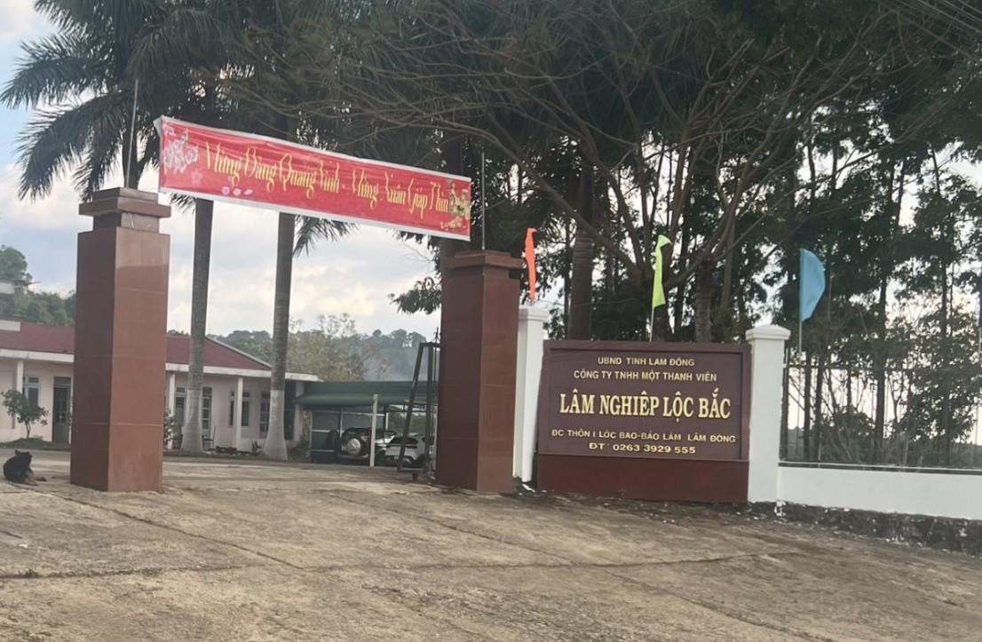 Lâm Đồng: Thu hồi đất, chấm dứt hoạt động dự án trồng cao su tại huyện Bảo Lâm