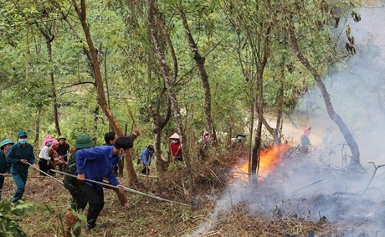 Yên Bái: Tăng cường các biện pháp cấp bách phòng cháy, chữa cháy rừng