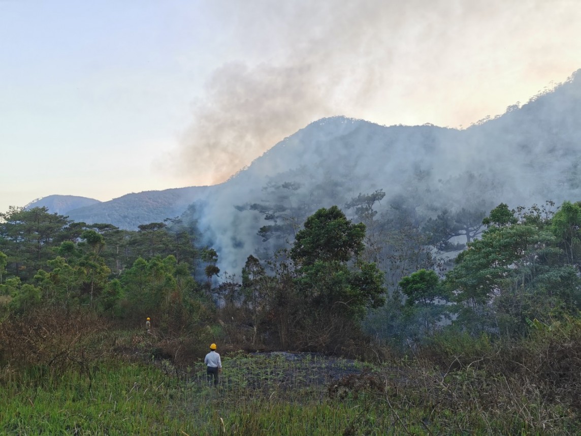 Lâm Đồng: Cháy rừng thông trong khu du lịch quốc gia hồ Tuyền Lâm Đà Lạt
