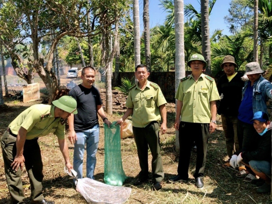 Đắk Lắk: Phát hiện trăn gấm khổng lồ và ổ trứng trong vườn nhà ở huyện Cư M'gar