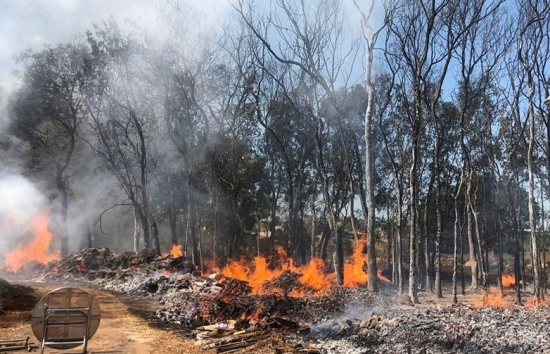 Đồng Nai: Cháy trên địa bàn huyện Xuân Lộc, nhiều tài sản và cây trồng bị lửa thiêu rụi