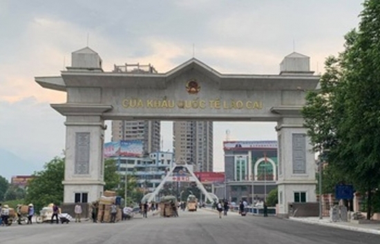 Lào Cai: Dừng làm thủ tục hải quan đối với hàng hóa của Công ty XNK nông sản Hà Khẩu