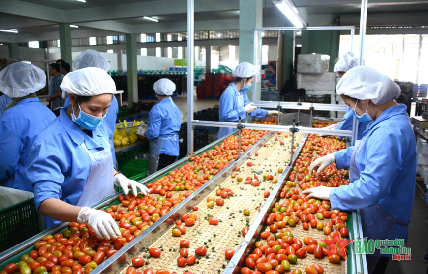 Hơn 40 doanh nghiệp, tập đoàn lớn của Uzbekistan sẽ sang Việt Nam