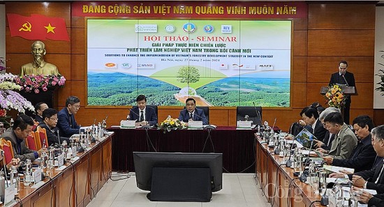 Bàn giải pháp thực hiện Chiến lược phát triển lâm nghiệp Việt Nam trong bối cảnh mới