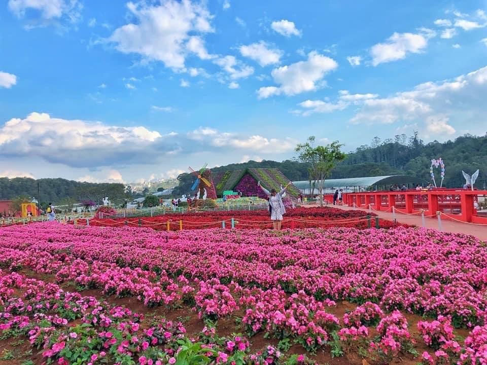 Lâm Đồng: Đà Lạt được công nhận là Thành phố lễ hội của Châu Á