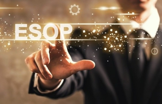Pháp luật quy định thế nào về phát hành cổ phiếu ESOP?
