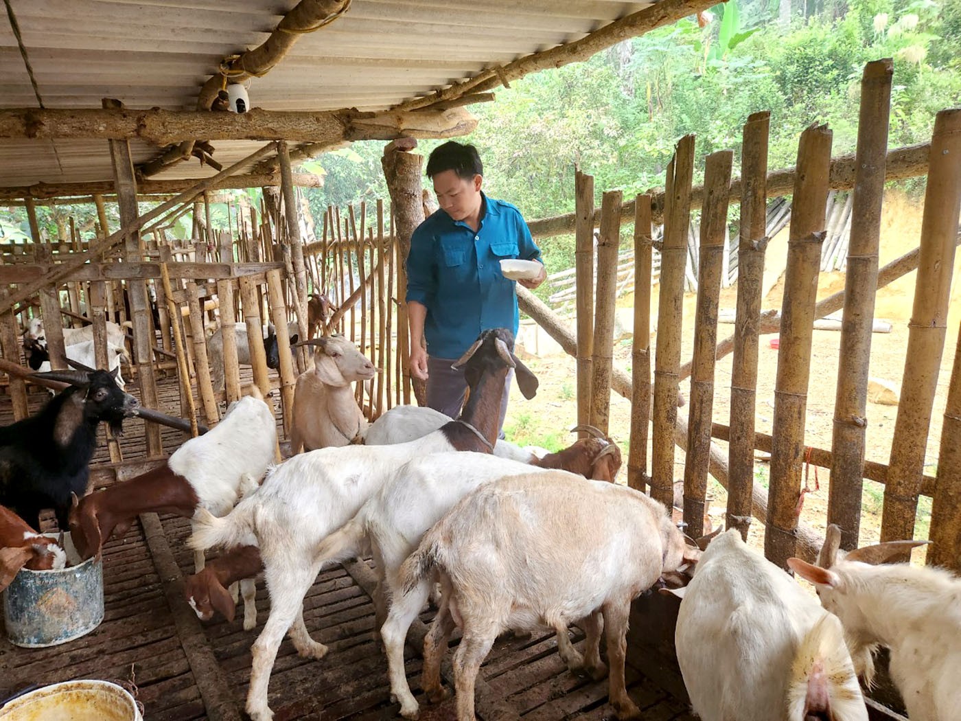 Chuyện những người “Ăn rừng ngủ núi” giữ biên ở Hà Giang - Bài 1: Những sỹ quan quân hàm xanh về làm cán bộ xã