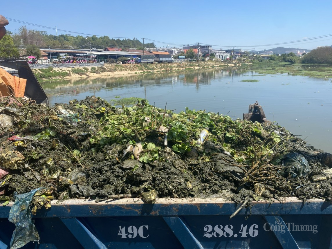 Lâm Đồng: Ô nhiễm nghiêm trọng tại các hồ lắng xung quanh hồ Xuân Hương Đà Lạt