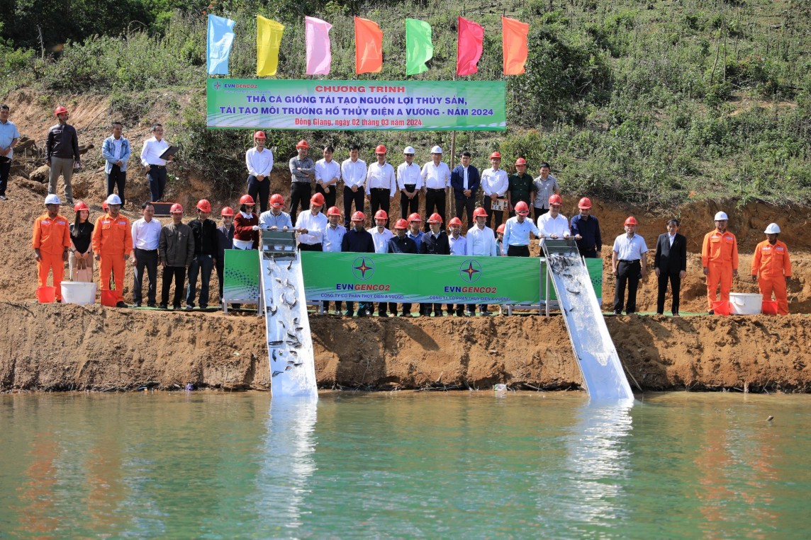Công ty CP Thủy điện A Vương: Tái tạo nguồn lợi thủy sản, chăm lo người dân vùng dự án