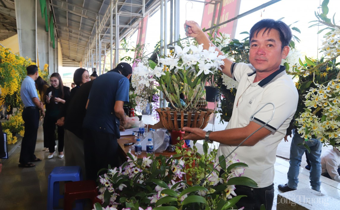 Lâm Đồng: Hơn 1000 tác phẩm tham dự Hội thi hoa lan lần thứ I năm 2024