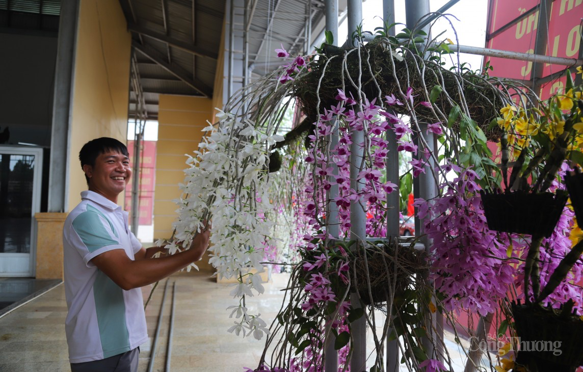 Lâm Đồng: Hơn 1000 tác phẩm tham dự Hội thi hoa lan lần thứ I năm 2024