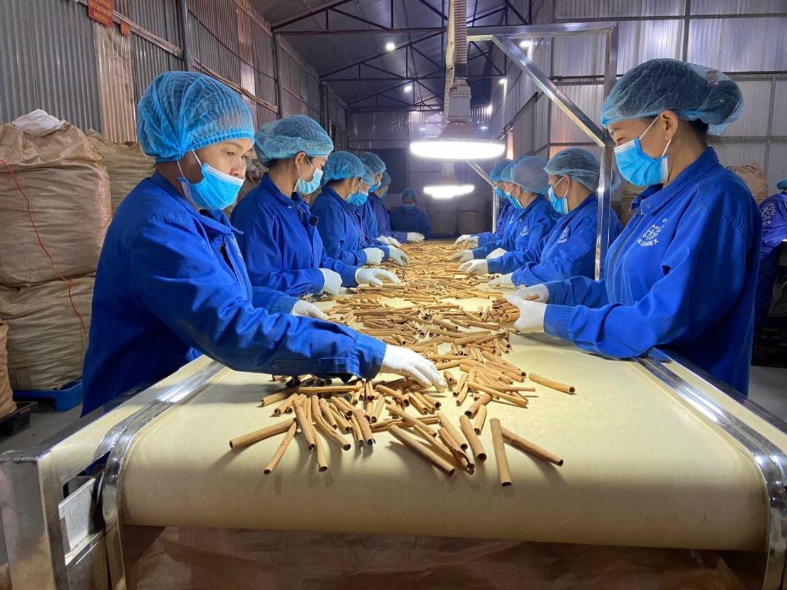 Yên Bái: Nông lâm sản chế biến giữ “ngôi vương” trong xuất khẩu