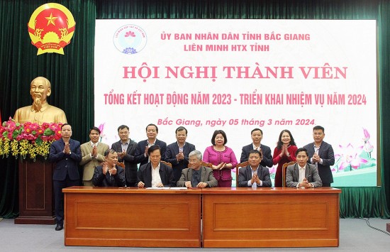 Bắc Giang phấn đấu thành lập mới 80 hợp tác xã trong năm 2024