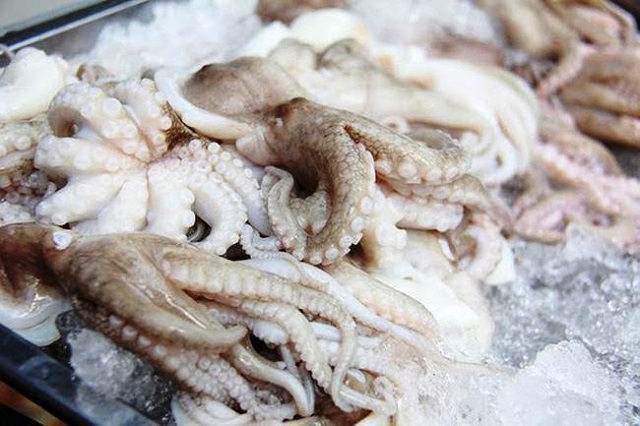Hàn Quốc là thị trường xuất khẩu mực, bạch tuộc lớn nhất của Việt Nam