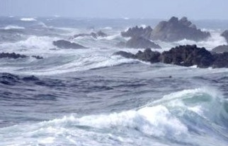 Dự báo thời tiết biển hôm nay 8/3/2024: Gió Đông Bắc mạnh, biển động