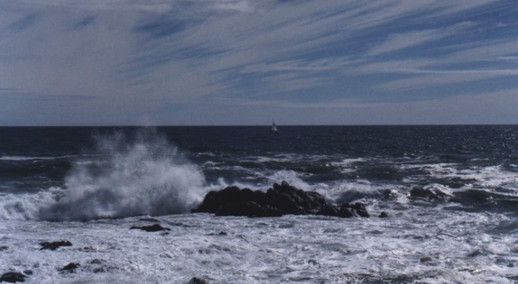 Dự báo thời tiết biển hôm nay 10/3/2024: Trên biển có gió mạnh và sóng lớn