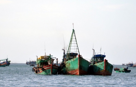 Kiên Giang không chấp thuận đóng mới tàu cá trong năm 2024