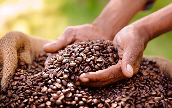 Tồn kho cà phê trên sàn bật tăng giúp giá cà phê xuất khẩu quay đầu giảm