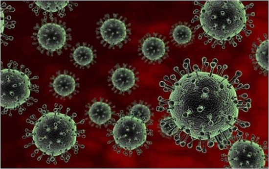 ​​​​​​​Chưa tìm ra nguồn lây nhiễm cúm A/H5N1 ở Khánh Hoà