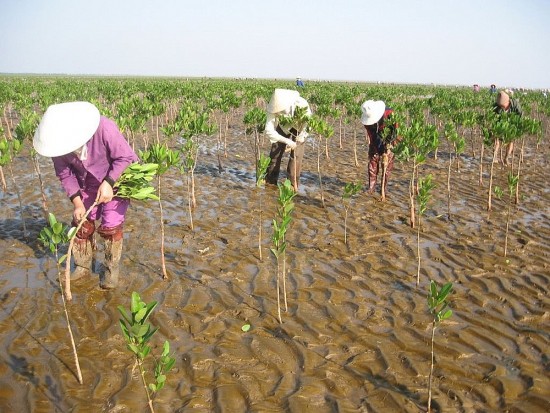 Thực hiện chương trình ứng phó biến đổi khí hậu và tăng trưởng xanh dưới góc nhìn kiểm toán