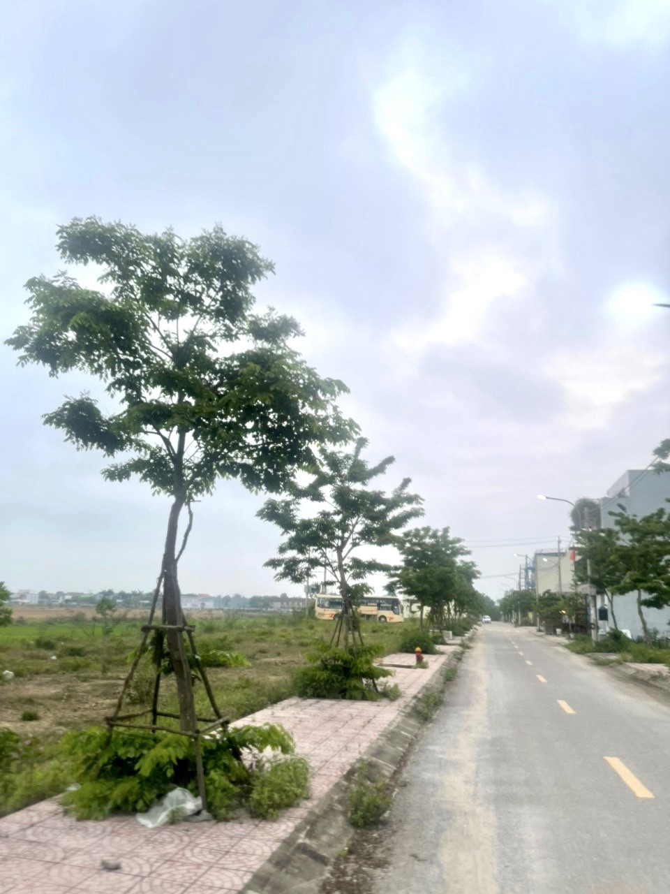 Quảng Bình- Quảng Trị: Thực hiện việc kiểm tra các dự án cây xanh đô thị