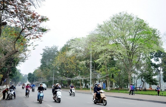Dự báo thời tiết Hà Nội ngày mai 31/3/2024: Hà Nội không mưa, nền nhiệt tăng