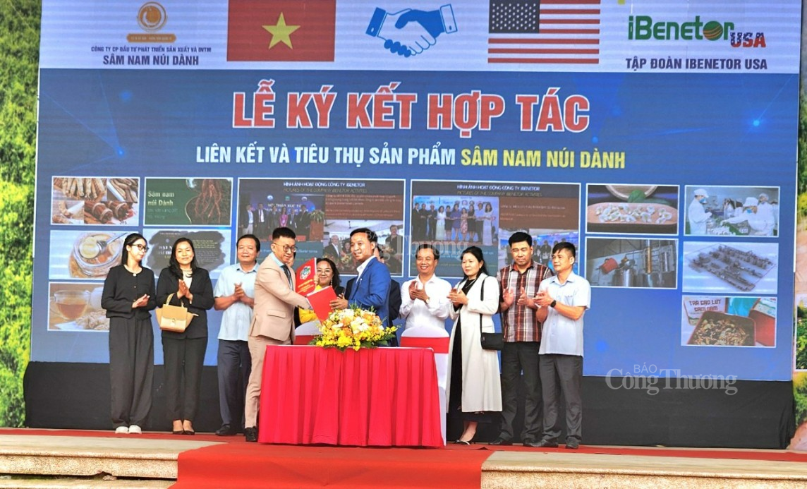 Bắc Giang: Sâm Nam núi Dành được phân phối độc quyền tại thị trường Hoa Kỳ