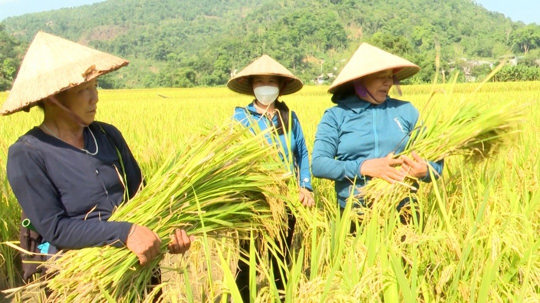 Hà Giang hướng tới mục tiêu đưa ngành nông nghiệp phát triển đột phá