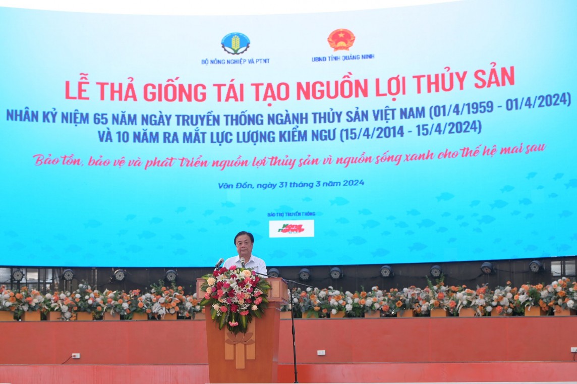 Quảng Ninh: Thả 5 triệu con giống tái tạo nguồn lợi thủy sản