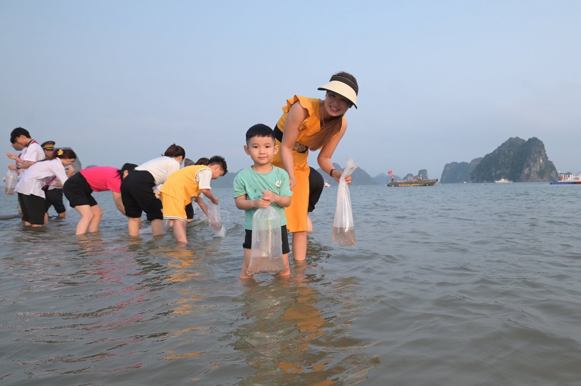 Quảng Ninh: Thả 5 triệu con giống tái tạo nguồn lợi thủy sản