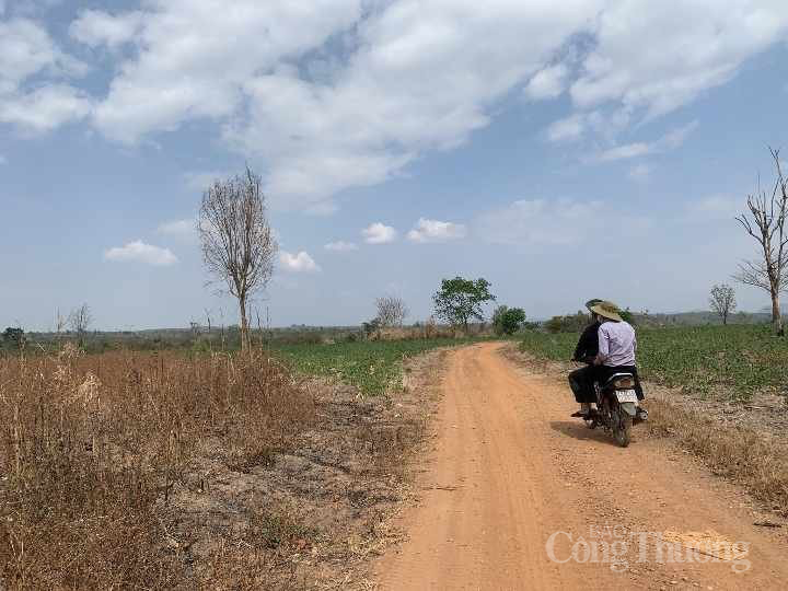 Đắk Lắk: Gần 400ha rừng bị suy giảm tại Trung tâm Bảo tồn Voi