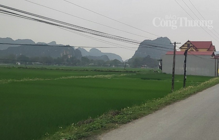 Thanh Hóa: Chấp thuận điều chỉnh chủ trương đầu tư nhà máy may mặc tại huyện Quảng Xương