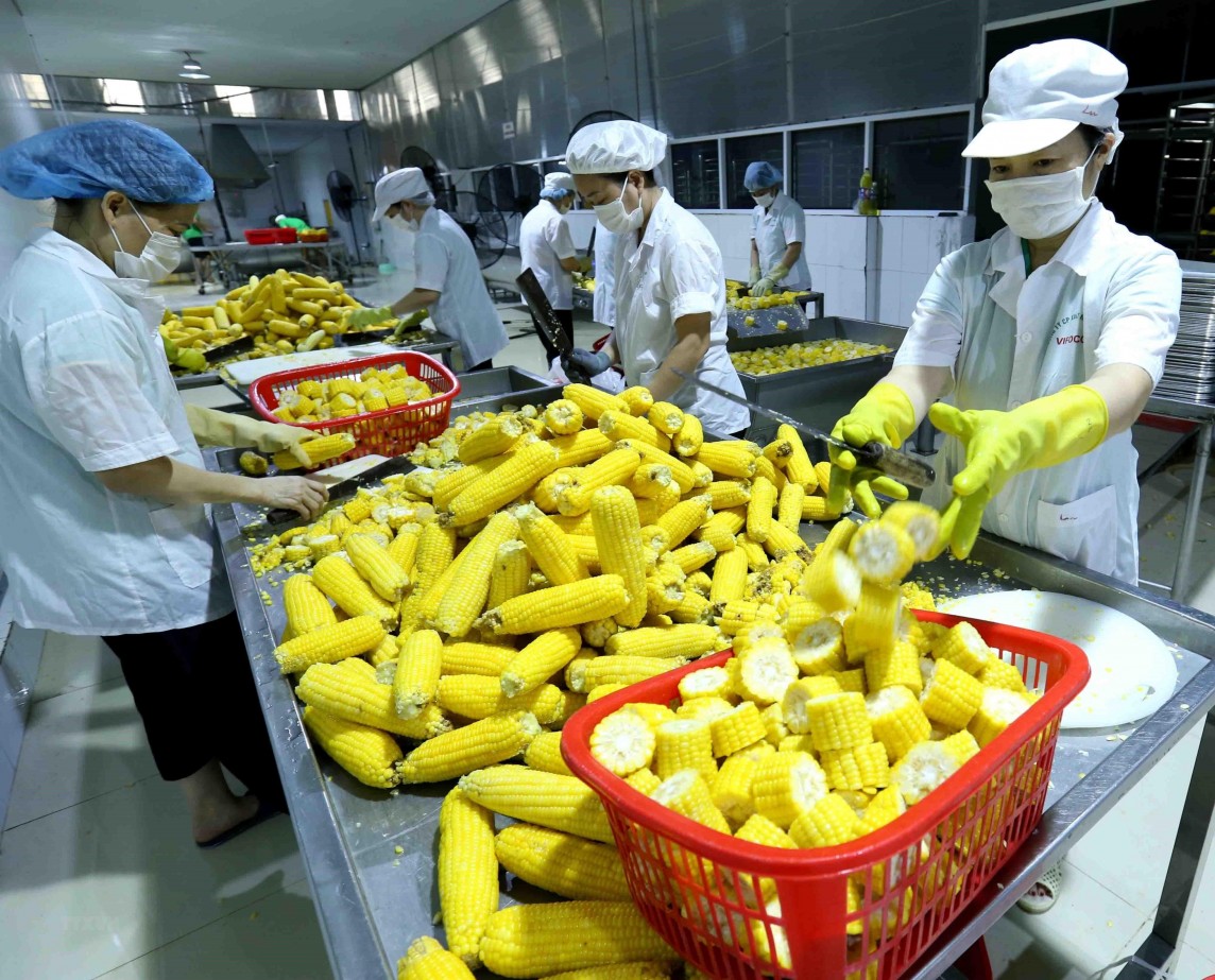 Singapore siết kiểm soát thực phẩm nhập khẩu để bảo vệ người tiêu dùng trong nước