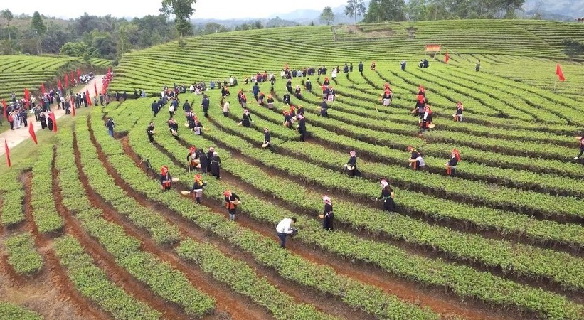 Lào Cai: Quyết tâm cao hoàn thành mục tiêu xây dựng nông thôn mới