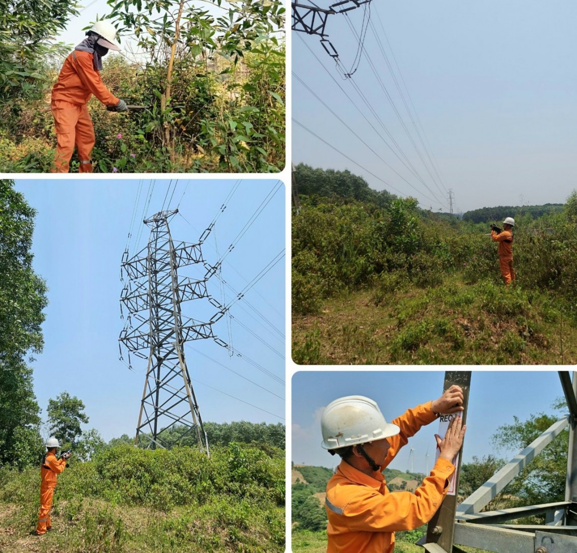 Quảng Trị: Theo chân những người thợ điện trong nắng gắt miền Trung