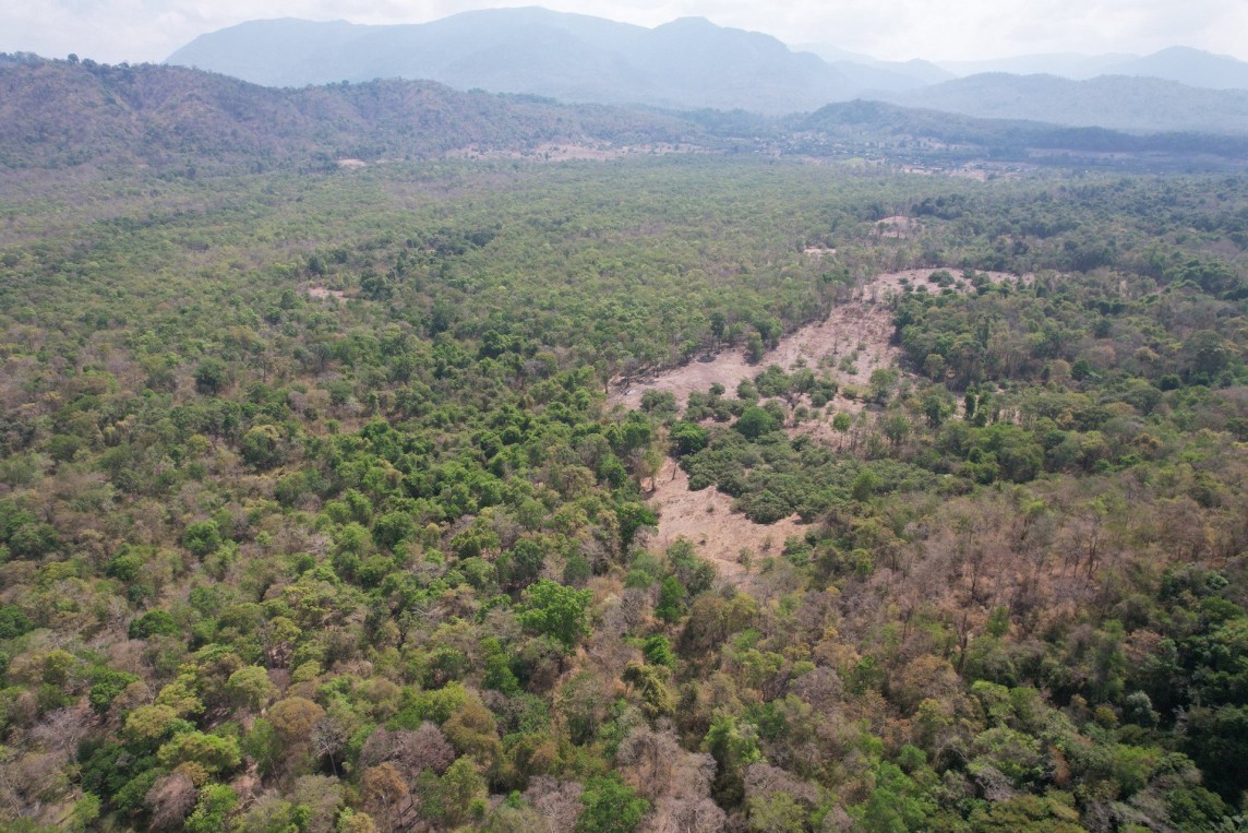 Khu vực rừng Hàm Thuận Nam nhìn từ trên cao - Ảnh: K.Hằng