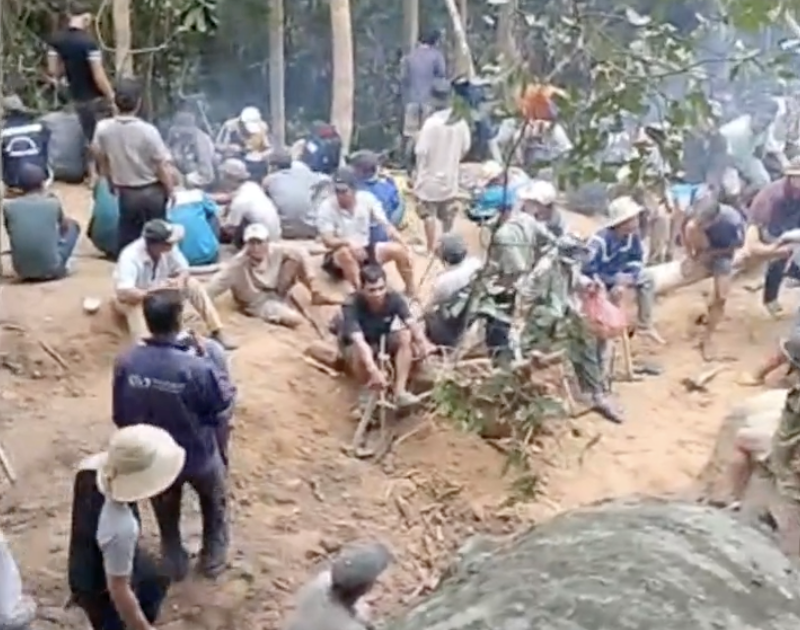 Phú Yên: Sẽ xử nghiêm người vào rừng chặt phá, tìm trầm trái phép