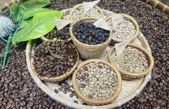 Vị thế cà phê của Việt Nam đang bị đe dọa từ cà phê Robusta của Brazil