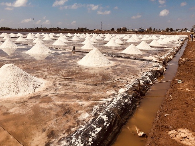 Bạc Liêu: Diêm dân "méo mặt" vì muối được mùa nhưng rớt giá