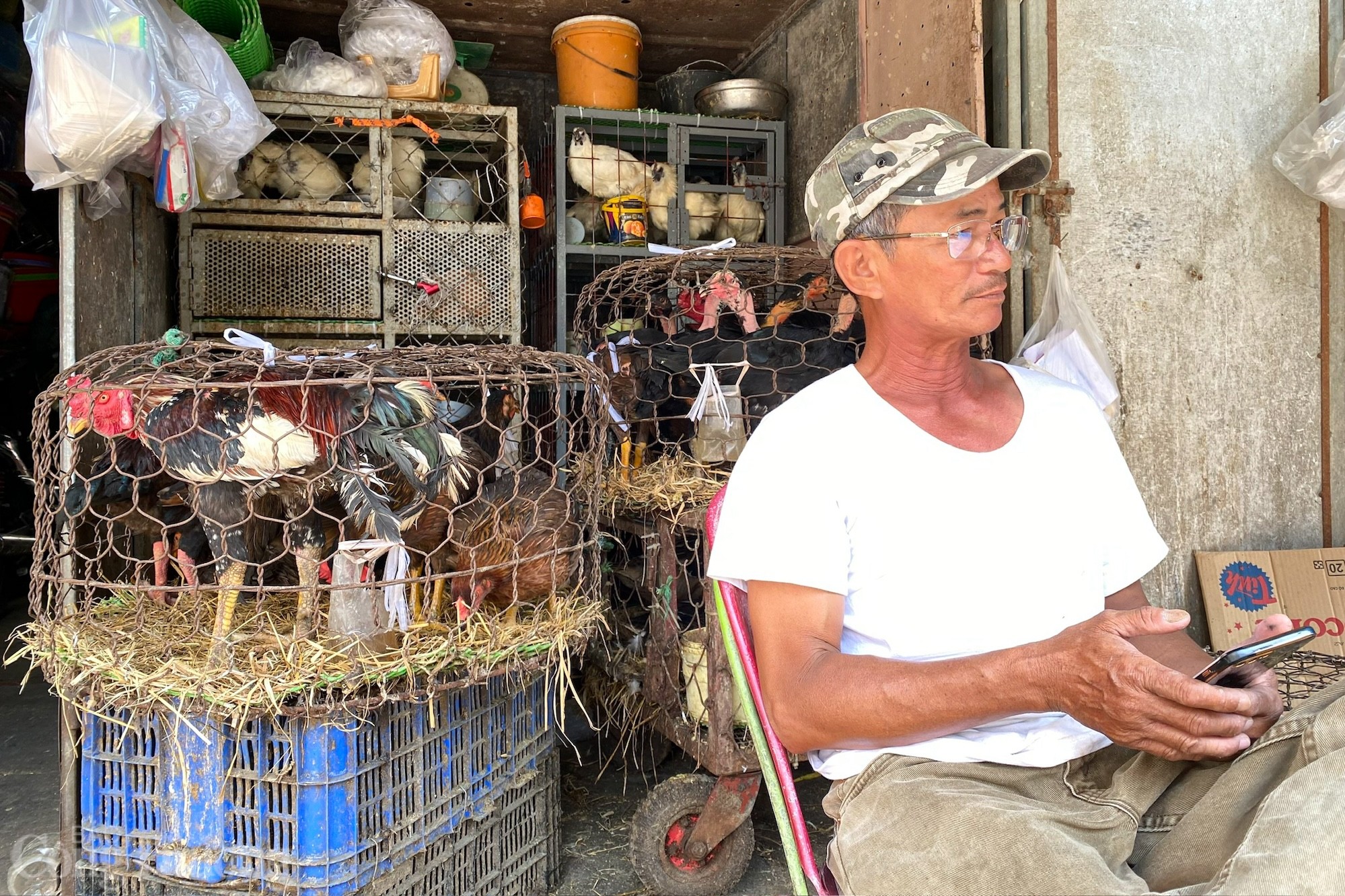 Thịt gà ở Nha Trang ế ẩm do tin đồn thất thiệt