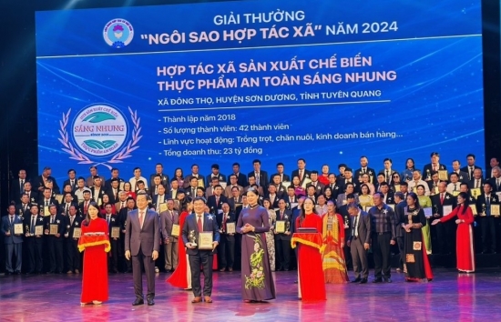 Tuyên Quang có 2 đơn vị đạt danh hiệu “Ngôi sao Hợp tác xã" năm 2024