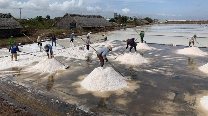 Bạc Liêu xác định muối là mặt hàng nông sản chủ lực của tỉnh.
