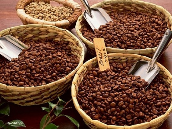 Giá cà phê xuất khẩu tăng mạnh, cà phê Robusta chính thức vượt ngưỡng 4.000 USD/tấn