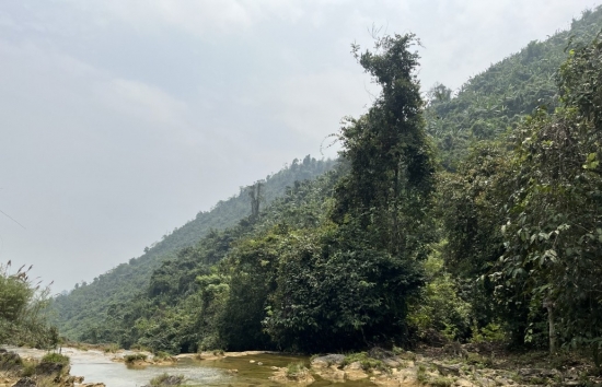 Tuyên Quang: Không đánh đổi tài nguyên rừng để phát triển du lịch