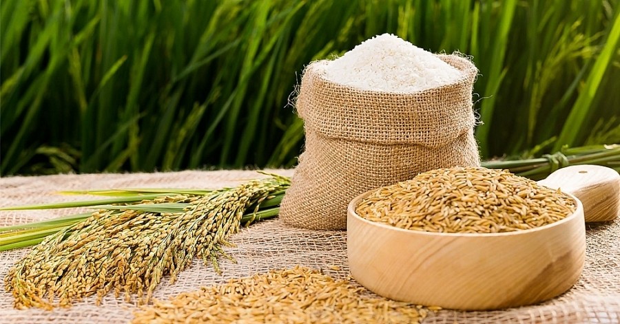 Giá lúa gạo hôm nay ngày 23/5: Gạo biến động trái chiều, có loại tăng 4.000 đồng/kg