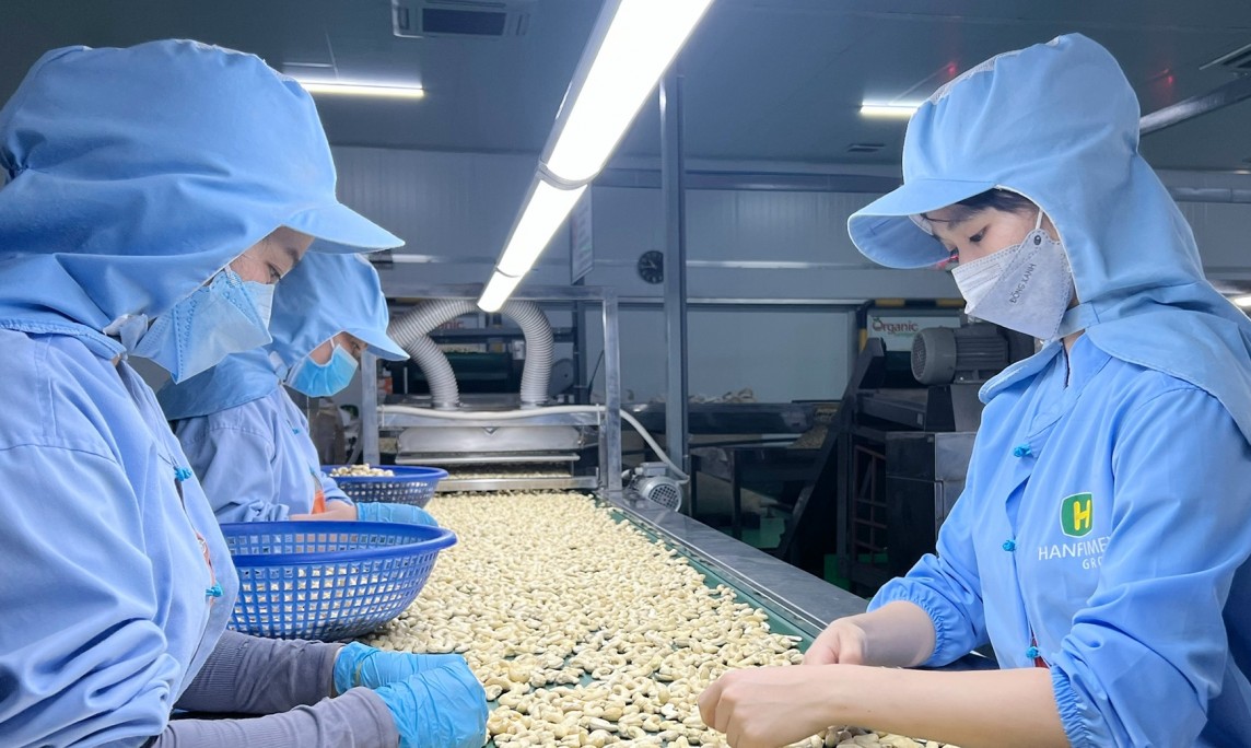 Cải thiện chất lượng tăng sức cạnh tranh cho gạo Việt tại thị trường Singapore