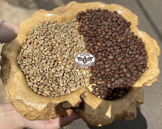 Giá cà phê hôm nay, 24/4/2024: Giá cà phê trong nước cán mốc 129.000/kg