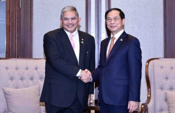 Thúc đẩy thực hiện các thỏa thuận để mở rộng không gian hợp tác Việt Nam - Brunei